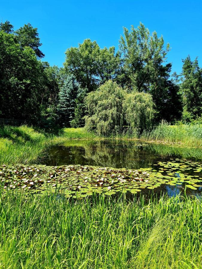 Wrzosowe Siedlisko Villa Czosnów Eksteriør bilde